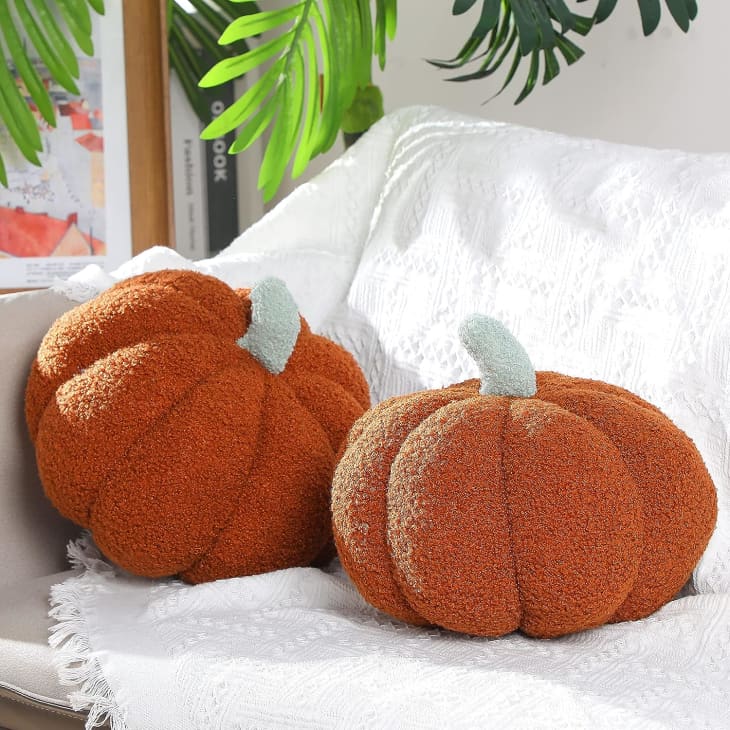 Queekay Pumpkin Throw Pillow, Set of 2 at Amazon