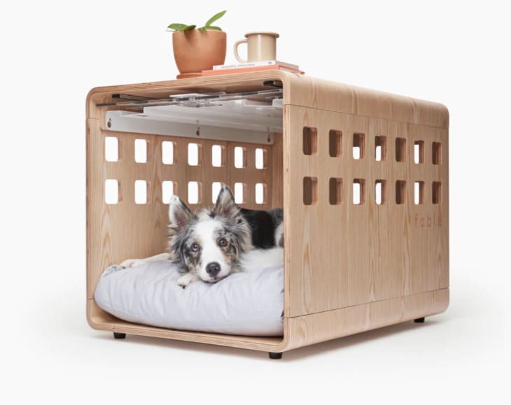 Fable Crate, Medium at Fable Pets