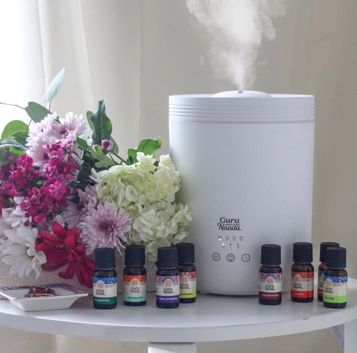 Product Image: The Halo & Essential Oil Starter Pack