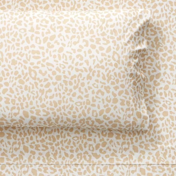 Rachel Zoe Pottery Barn Teen Collection Is Seriously Glam