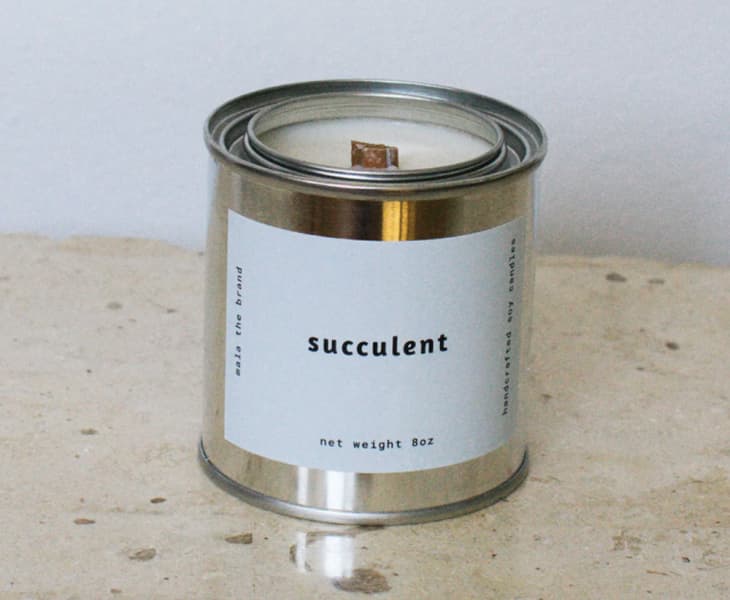 Succulent Scented 16-Ounce Candle at Nordstrom