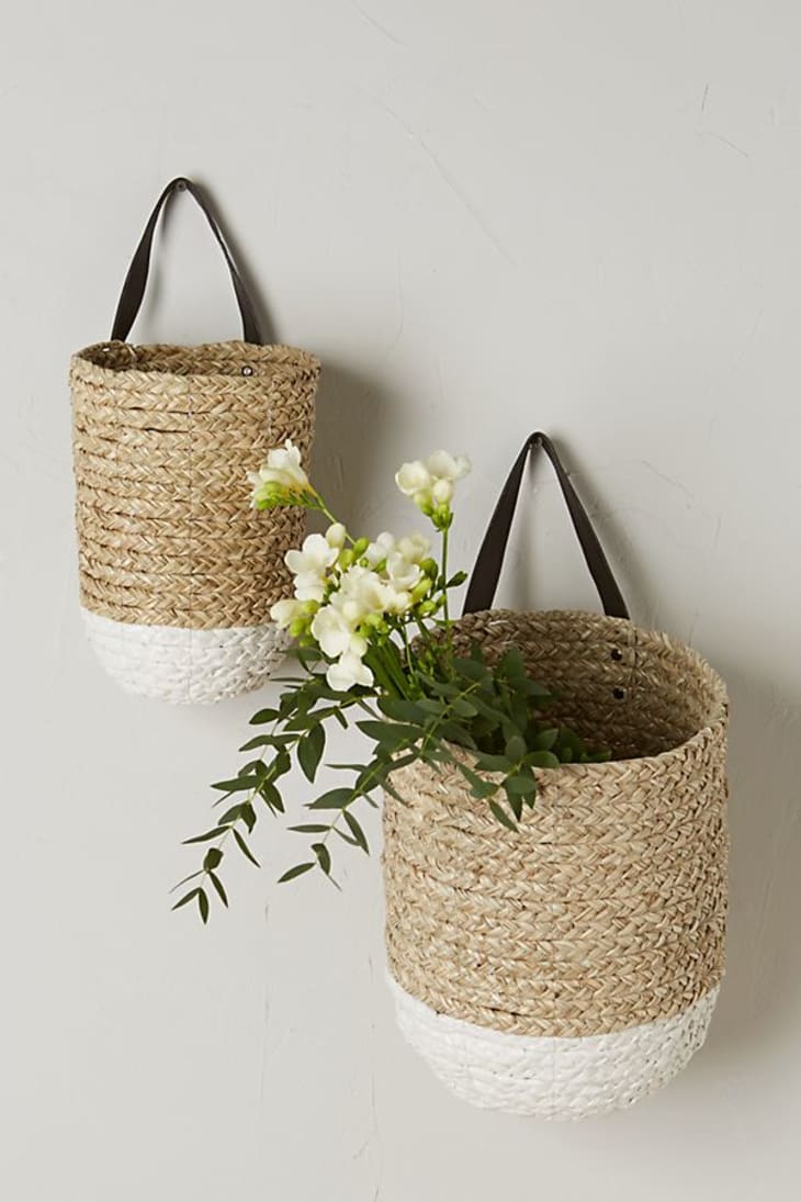 Hanging Baskets in our Kitchen - The Wicker House