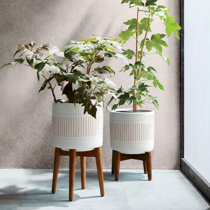 Featured image of post Mid Century Modern Outdoor Plant Stand : Mid century modern plant stand ideas, etsy, vintage, furniture, side tables, west elm, style, woods, home, retro, shelves, pots, wire, space, design, display, products, hairpin legs, green, dining rooms, black, indoor planters for plant dwellings at your home.