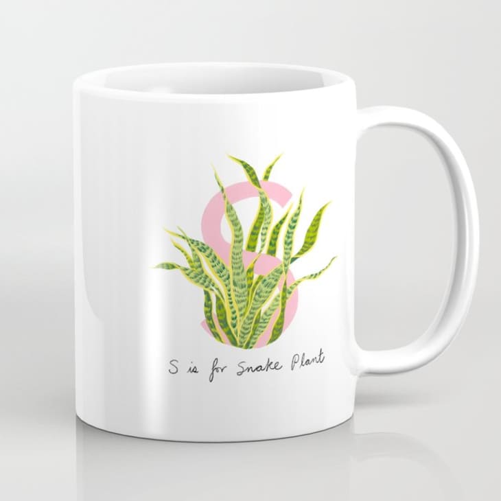 https://cdn.apartmenttherapy.info/image/upload/f_auto,q_auto:eco,w_730/at%2Fproduct%20listing%2Fs-is-for-snake-plant-mugs