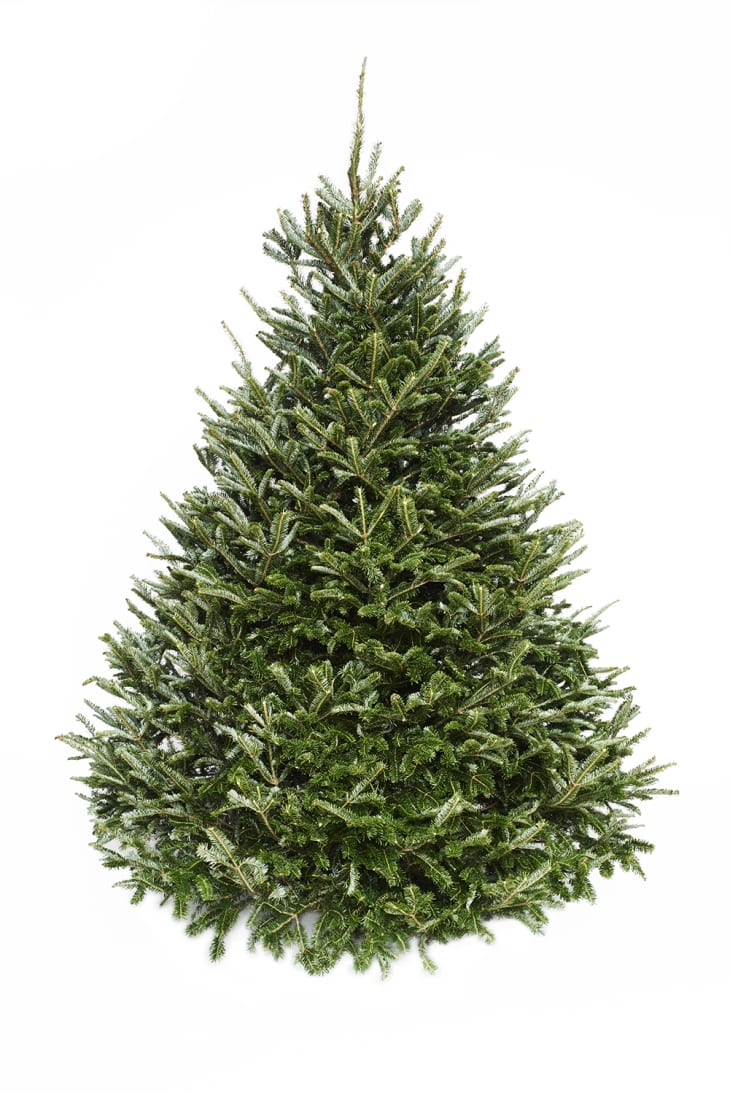 cheap christmas trees online