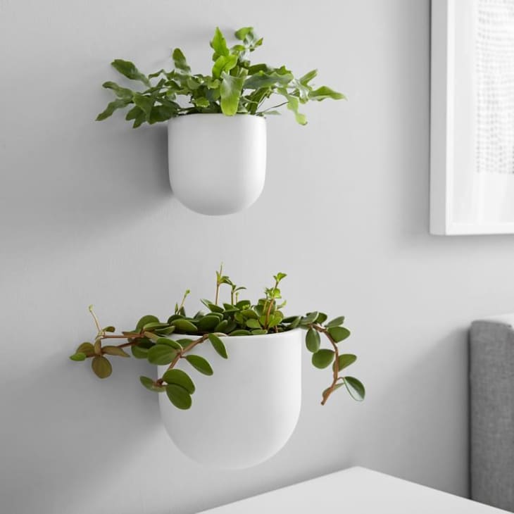 https://cdn.apartmenttherapy.info/image/upload/f_auto,q_auto:eco,w_730/at%2Fproduct%20listing%2Fwest-elm-ceramic-wallscape-planters-1-o