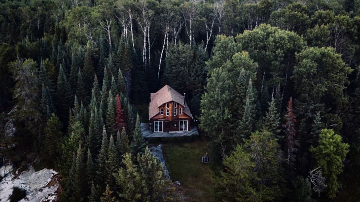 cabin in woods