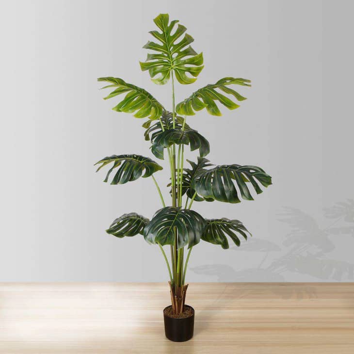 Product Image: Rita Artificial Monstera Potted Plant