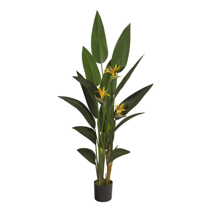 Product Image: 6’ Bird of Paradise Artificial Plant