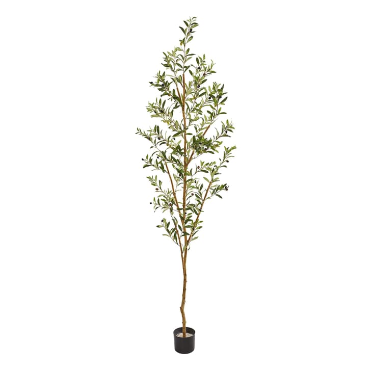 Product Image: Nearly Natural 82” Olive Artificial Silk Tree