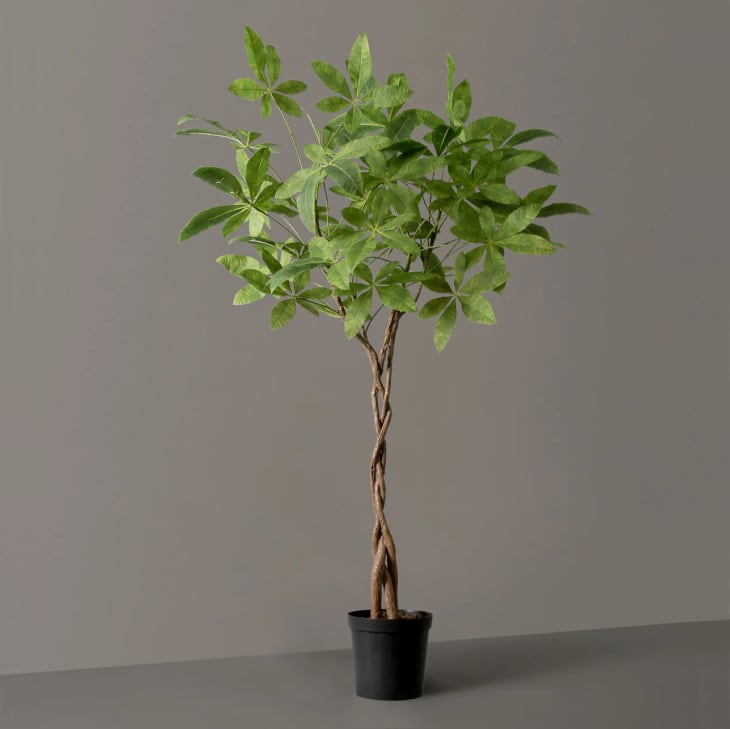 Product Image: Faux Braided Money Tree