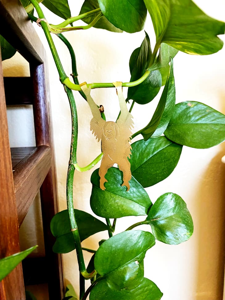 metal monkey hanging from plant stem