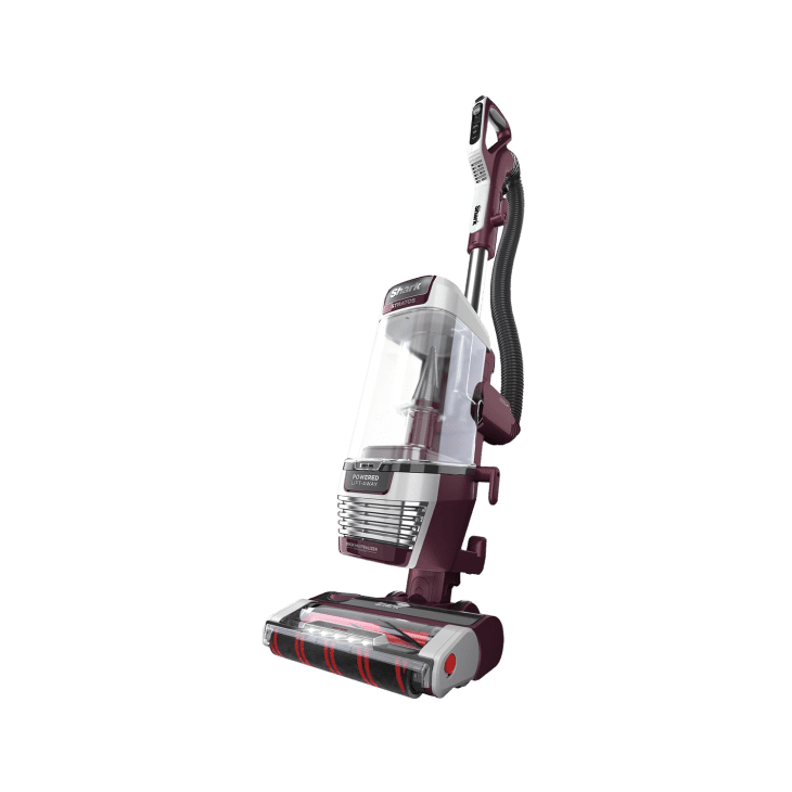 Is Shark Stratos Worth the Money? Honest Review & Buyer Guide