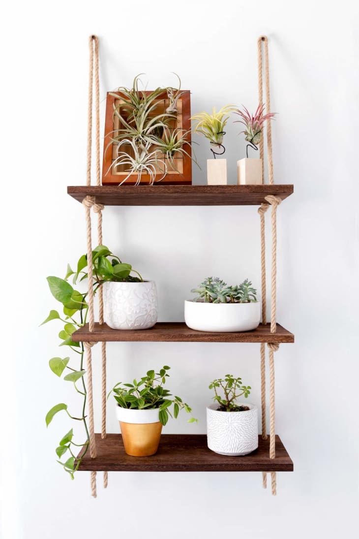 The Best Under $30 Shelves from  That'll Help You Get Your