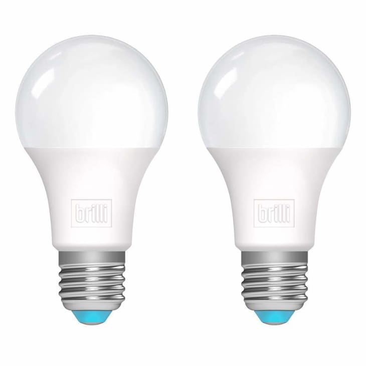 Brilli 5000K LED Light Bulbs that emit white, bright light
