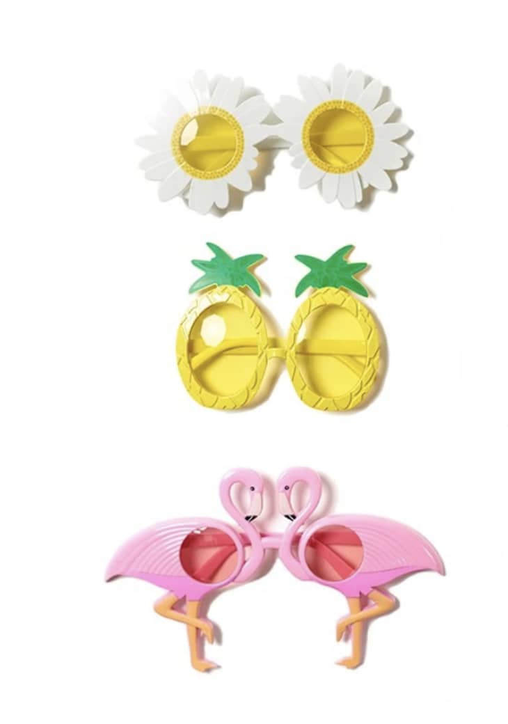 Fun sunglasses with daisy, pineapple, and flamingo motifs