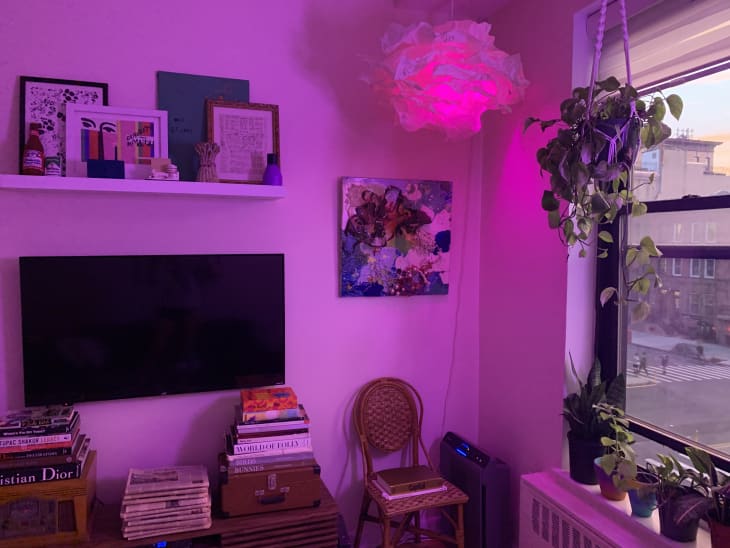 Caroline Biggs Apartment with pink walls from colored LED lightbulb