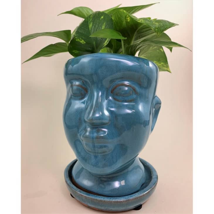 Blue bust planter from Wayfair