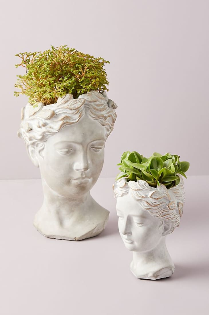Bust planter from Anthropologie