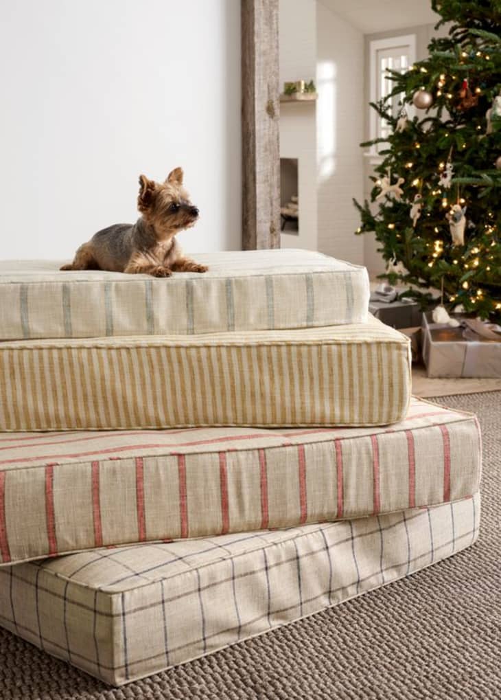 Dog resting on top of stack of striped cushions