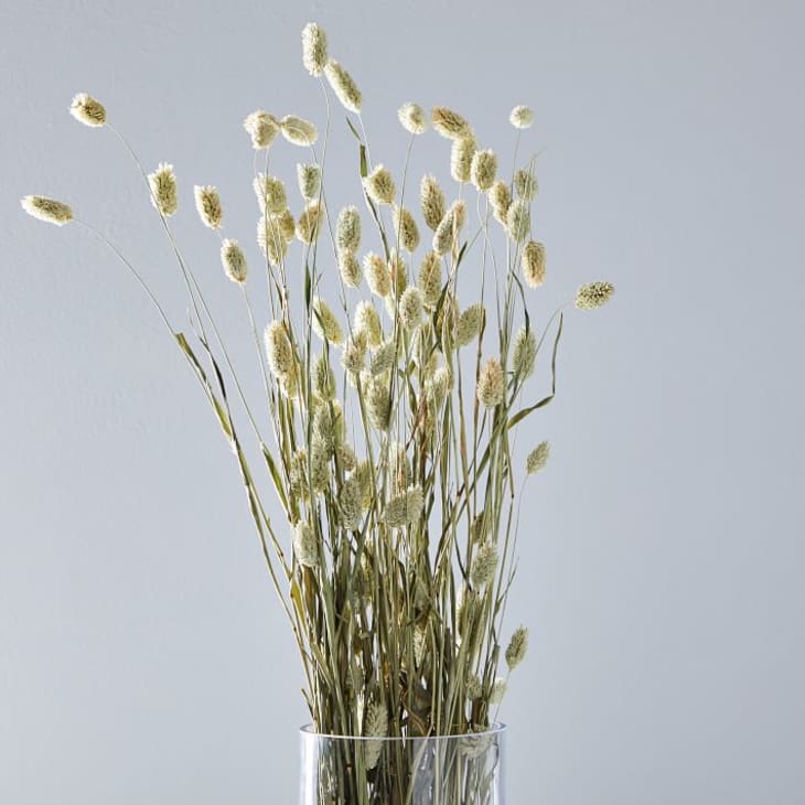 Primitive Dried FLAX Stem Bunch Dried stems floral decor 