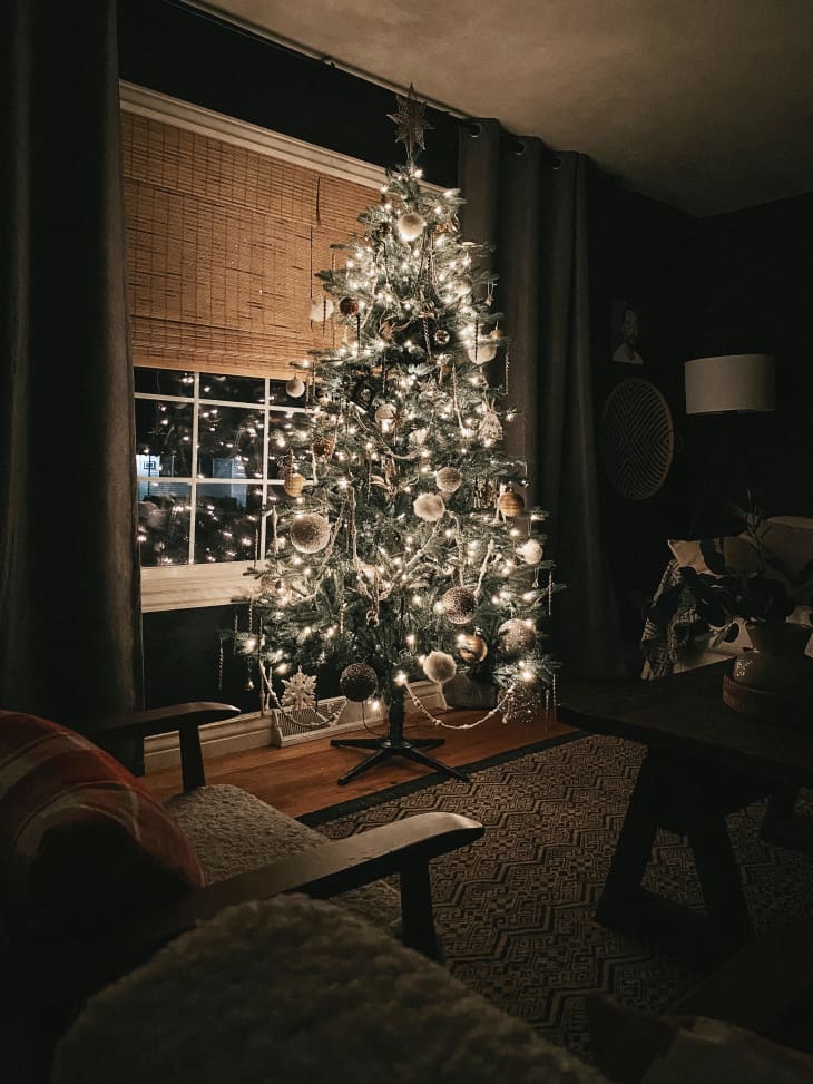 Christmas tree shot