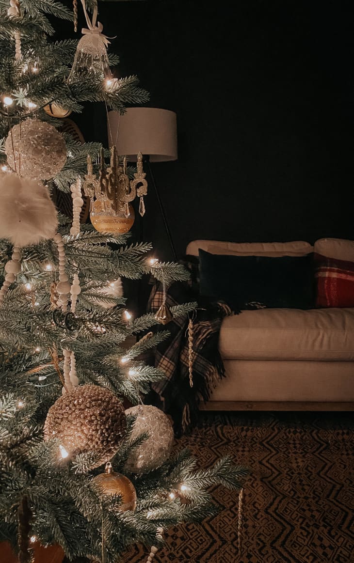 Andrea Ahendo's Christmas Tree Close Up
