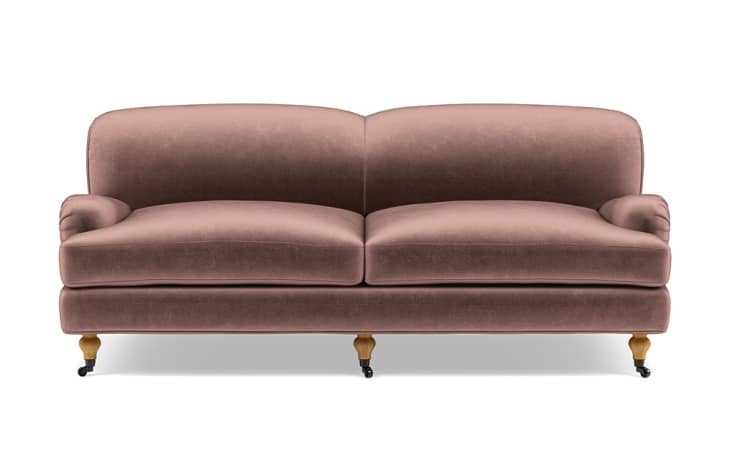 Blush roll arm sofa in velvet fabric from Interior Define
