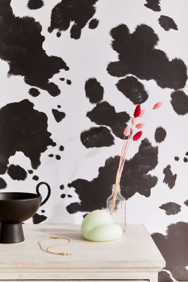 Cow print wallpaper behind accessorized table
