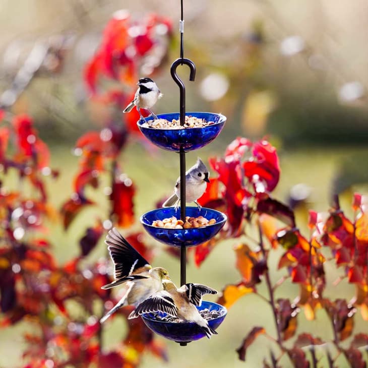 Triple hanging glass bird feeder