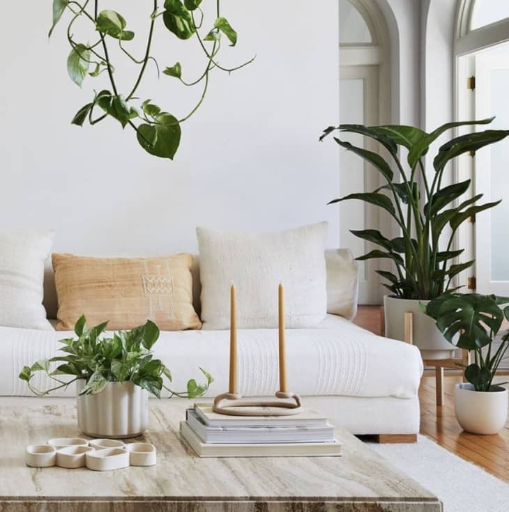 All white living room with plants from The Sill
