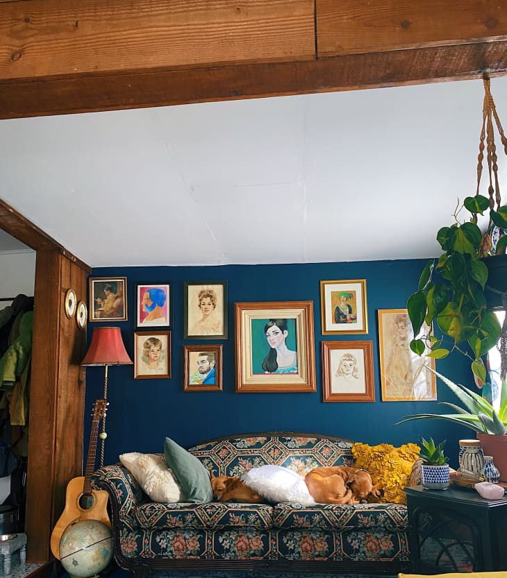 Portraits hanging on blue wall in living area with floral sofa