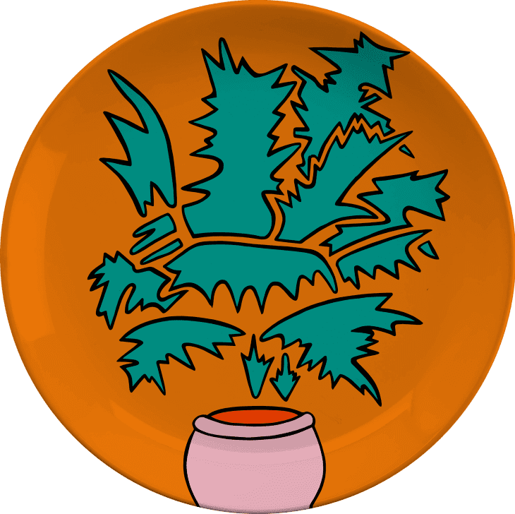 8月，莫莉·戈德法布为艺术创作了一个用大胆的颜色描绘室内植物的盘子