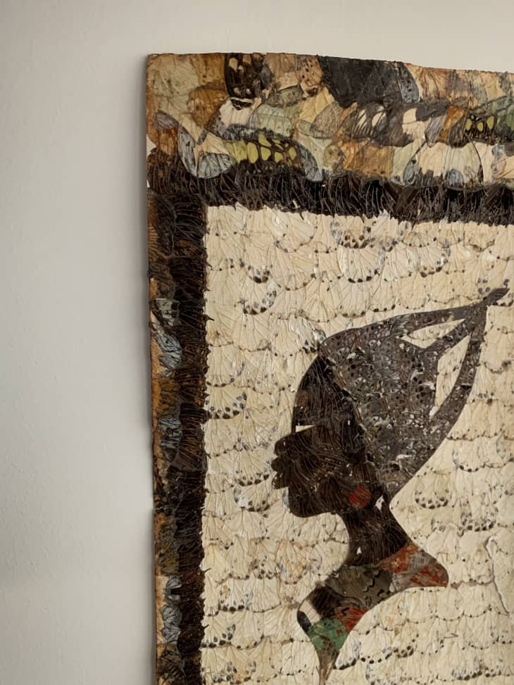 Handmade mosaic out of fallen butterfly wings
