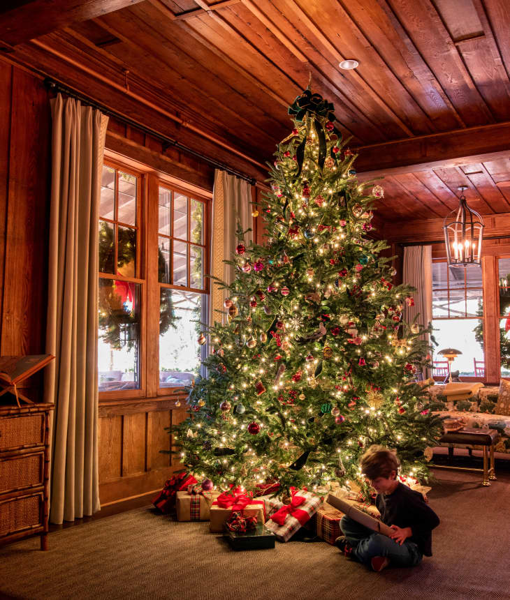 christmas tree with lights in a wood paneled room