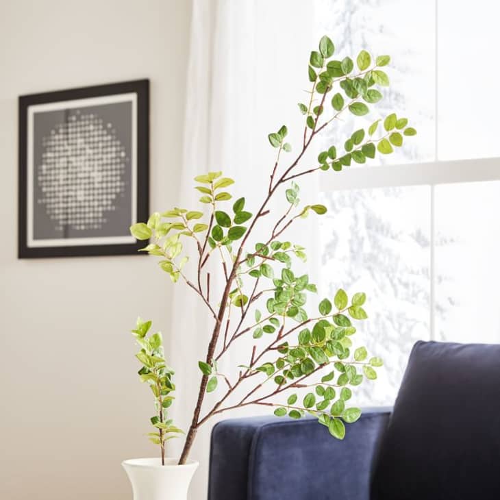 A faux branch in a living room