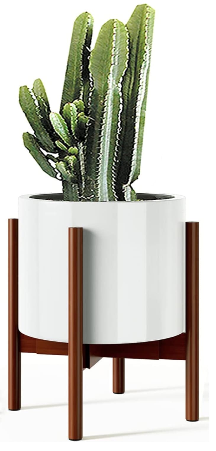White ceramic planter on a teak stand with a cactus in it