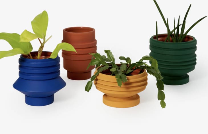 Colorful stacked planters that look like bangle bracelets from Areaware