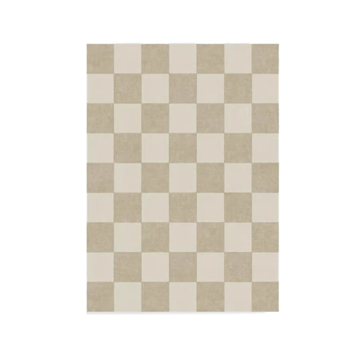 Jaque Checkered Stone Rug, 5' x 7' at Ruggable