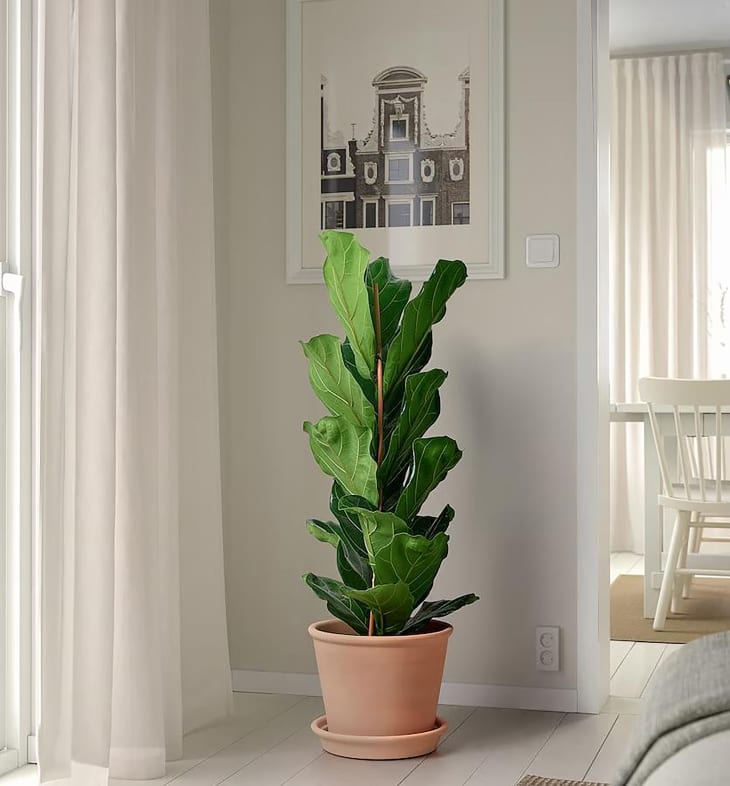 IKEA Now Stocks Large, Under $30 Terracotta Plant Pots | Apartment Therapy