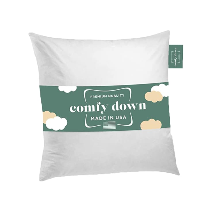 Product Image: Decorative Throw Pillow Insert
