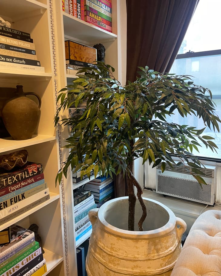 How to Make the Fake Tree in Your Living Room Look More Real | Apartment  Therapy
