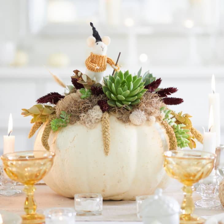 white pumpkin with succulents as a centerpiece