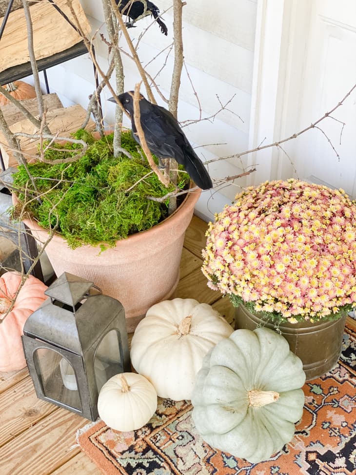 front step with pumpkin and raven decor