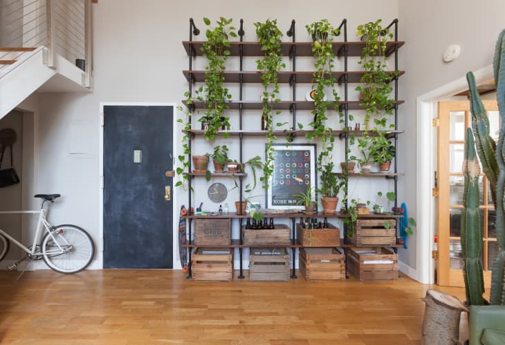 an airy living room with a plant wall