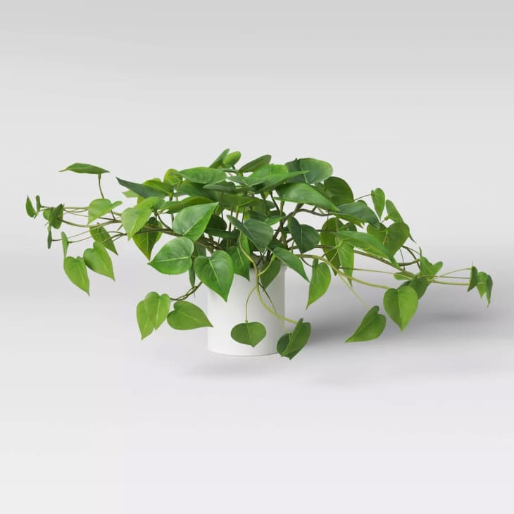 14" x 28" Artificial Pothos Plant in Pot at Target