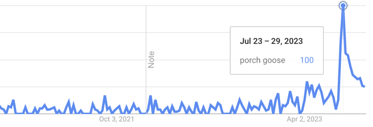 Google trends data for "porch goose"