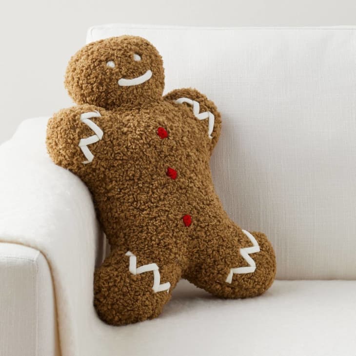 Product Image: Mr. Spice Gingerbread Pillow