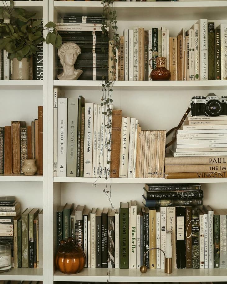 full bookshelves with plants, small decor items