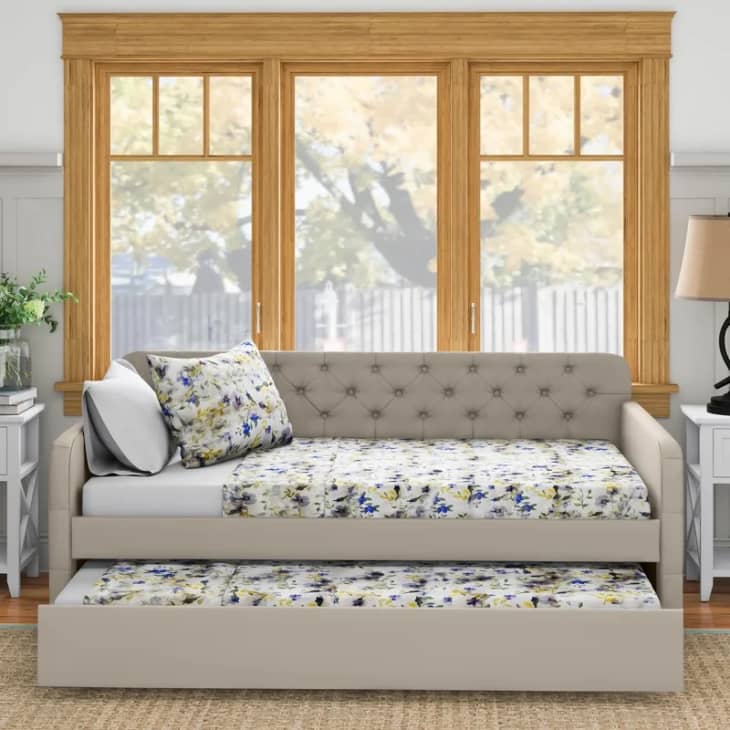 Astra Upholstered Daybed with Trundle at Wayfair